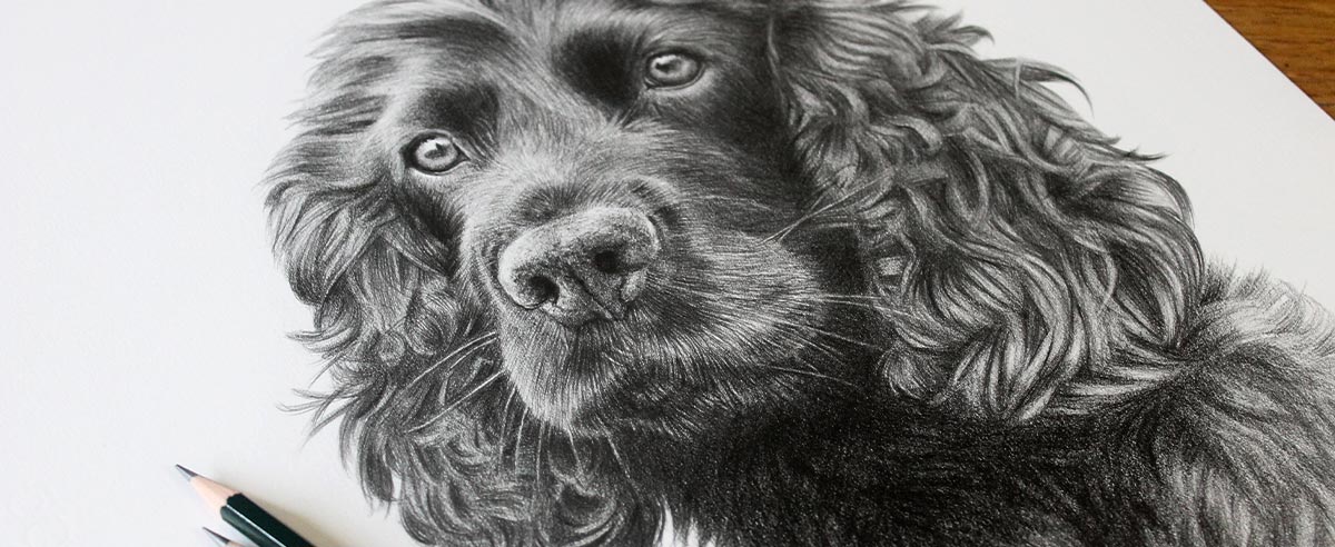 Pencil Portraits In Detail