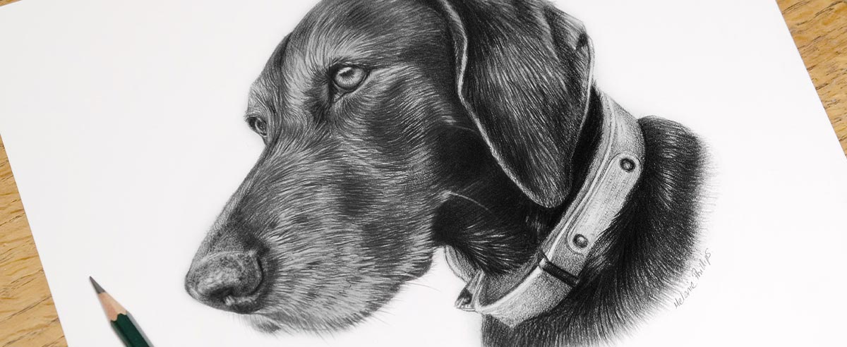 Pencil Portraits In Detail