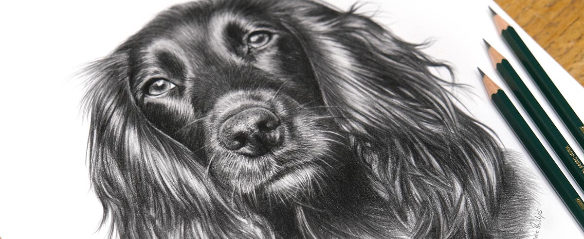 Pencil Portraits In Detail