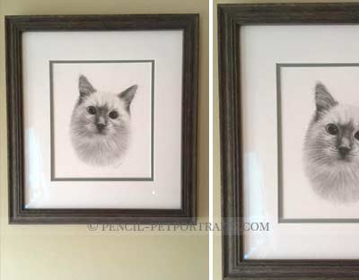 Cat Portraits Testimonials